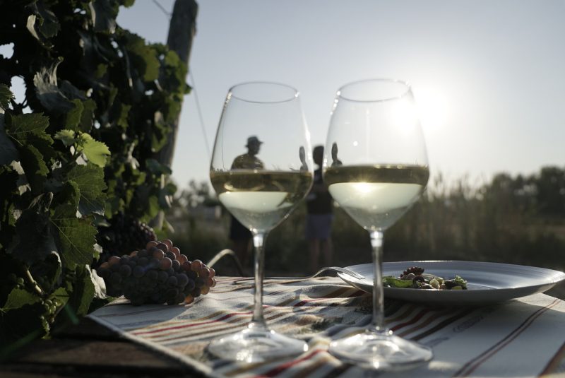 Wine tour and tasting Sardinia 