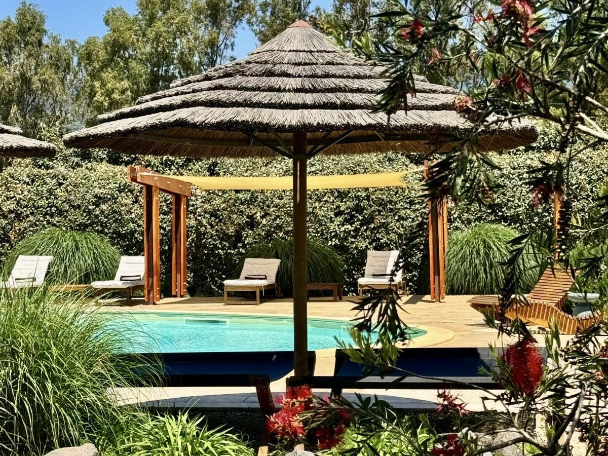 A Special Lunch with Pool Access Is Cheas