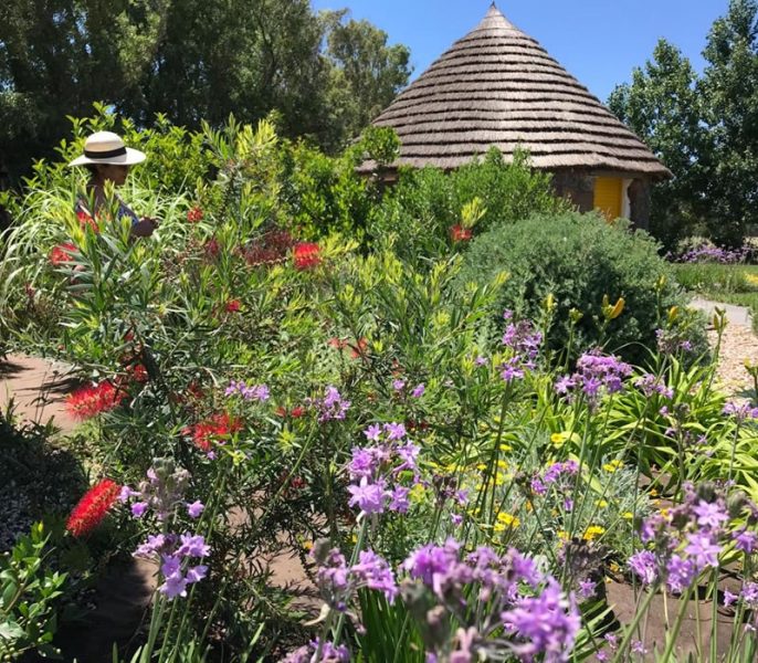 Giardini ed erbe aromatiche Is Cheas